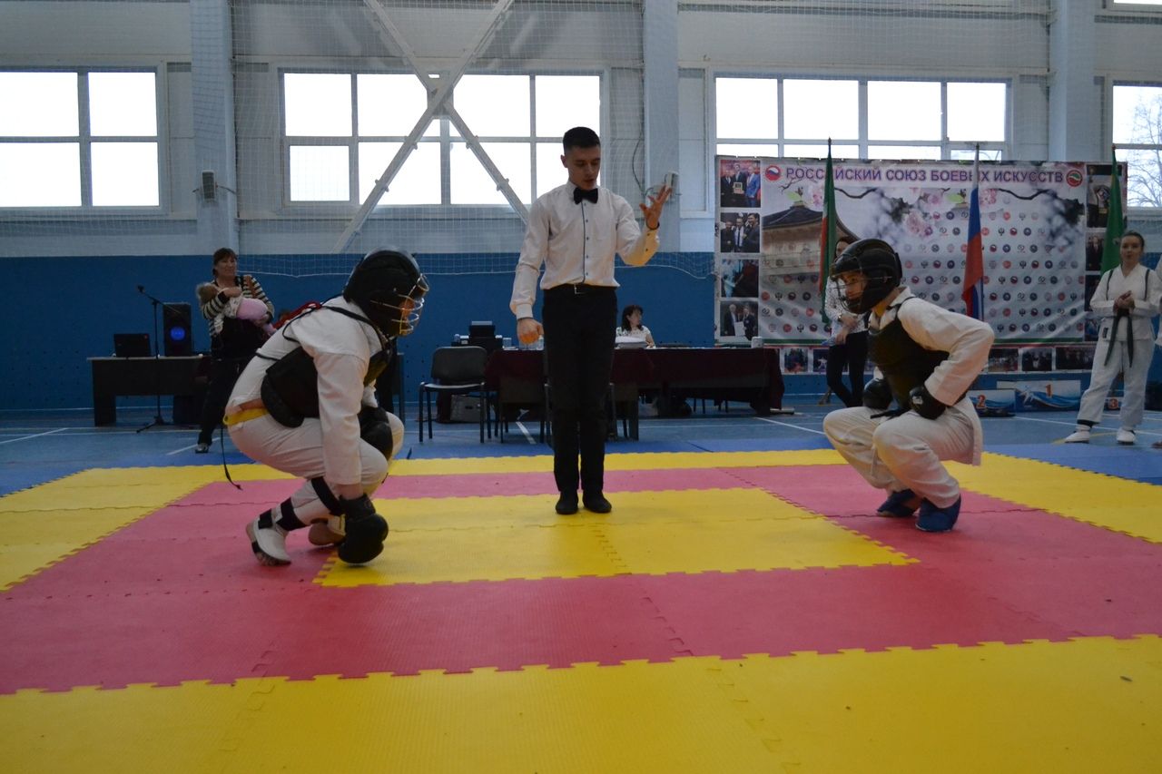 В Агрызе прошли соревнования по Восточному боевому единоборству