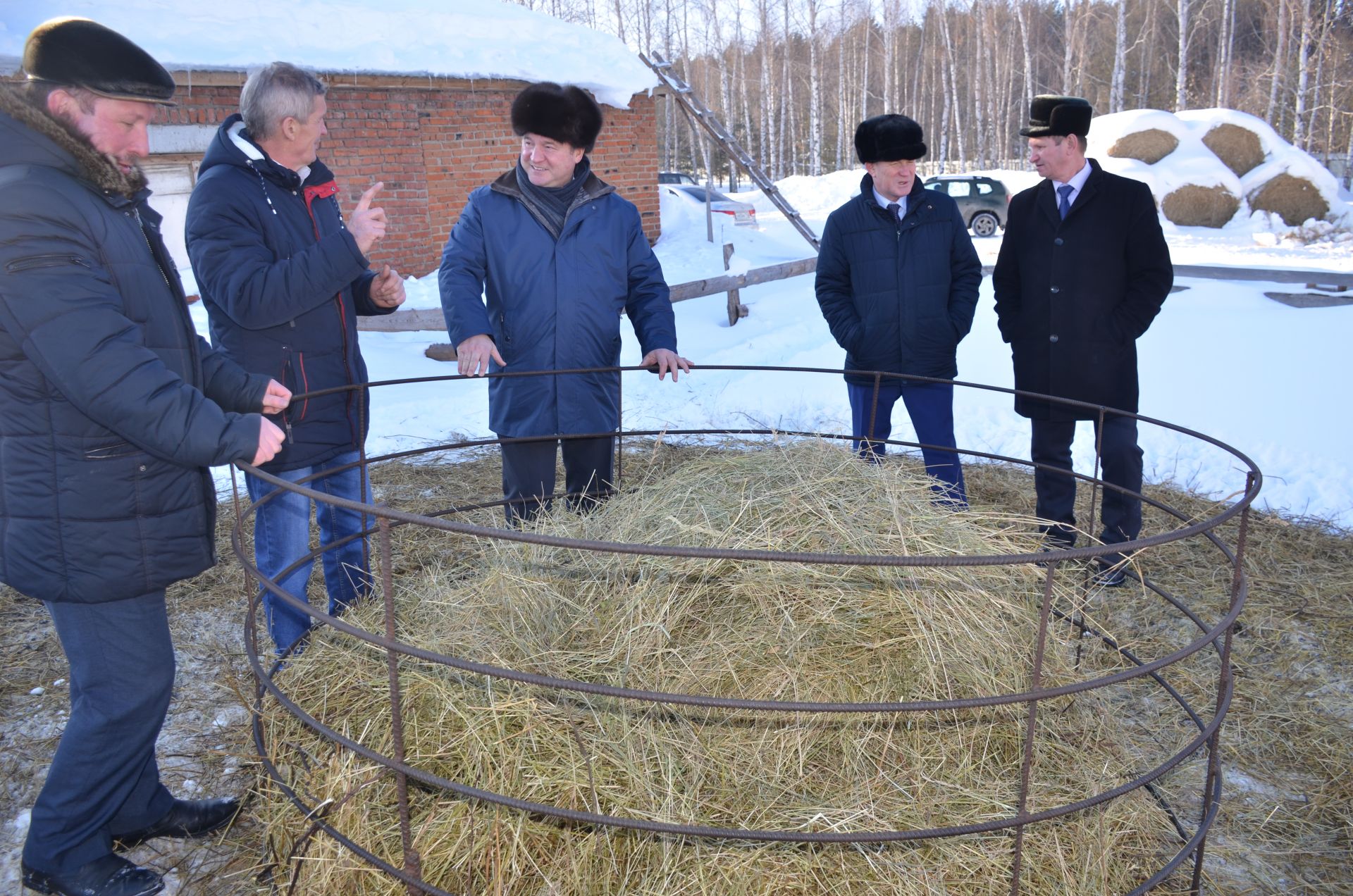 Кичкетаң фермеры дүрт йөз илле баш сарык асрый