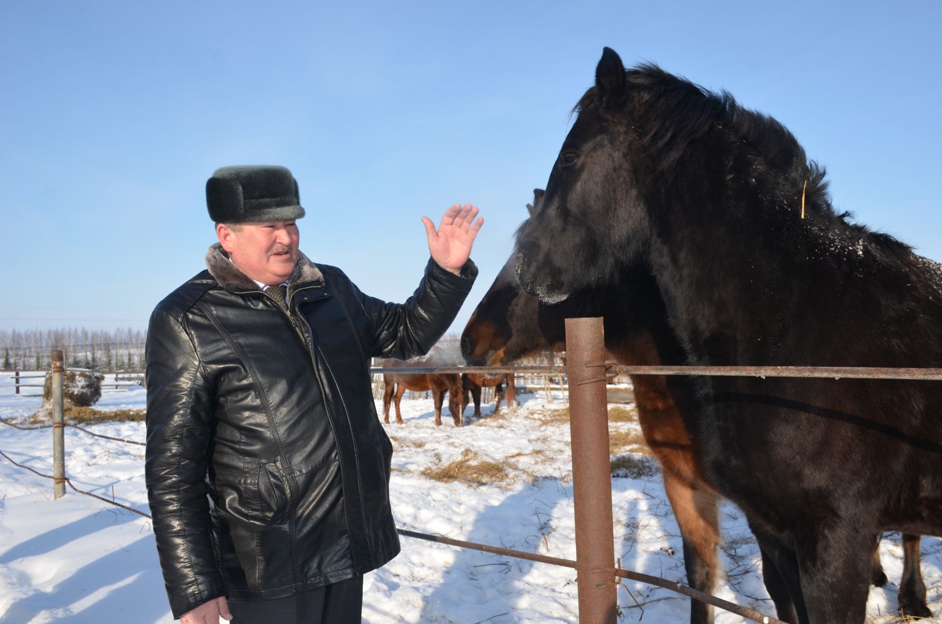 Исәнбайда узган җыенда җитәкчеләр атлар асраучы Ямалиевлар хуҗалыгында булдылар