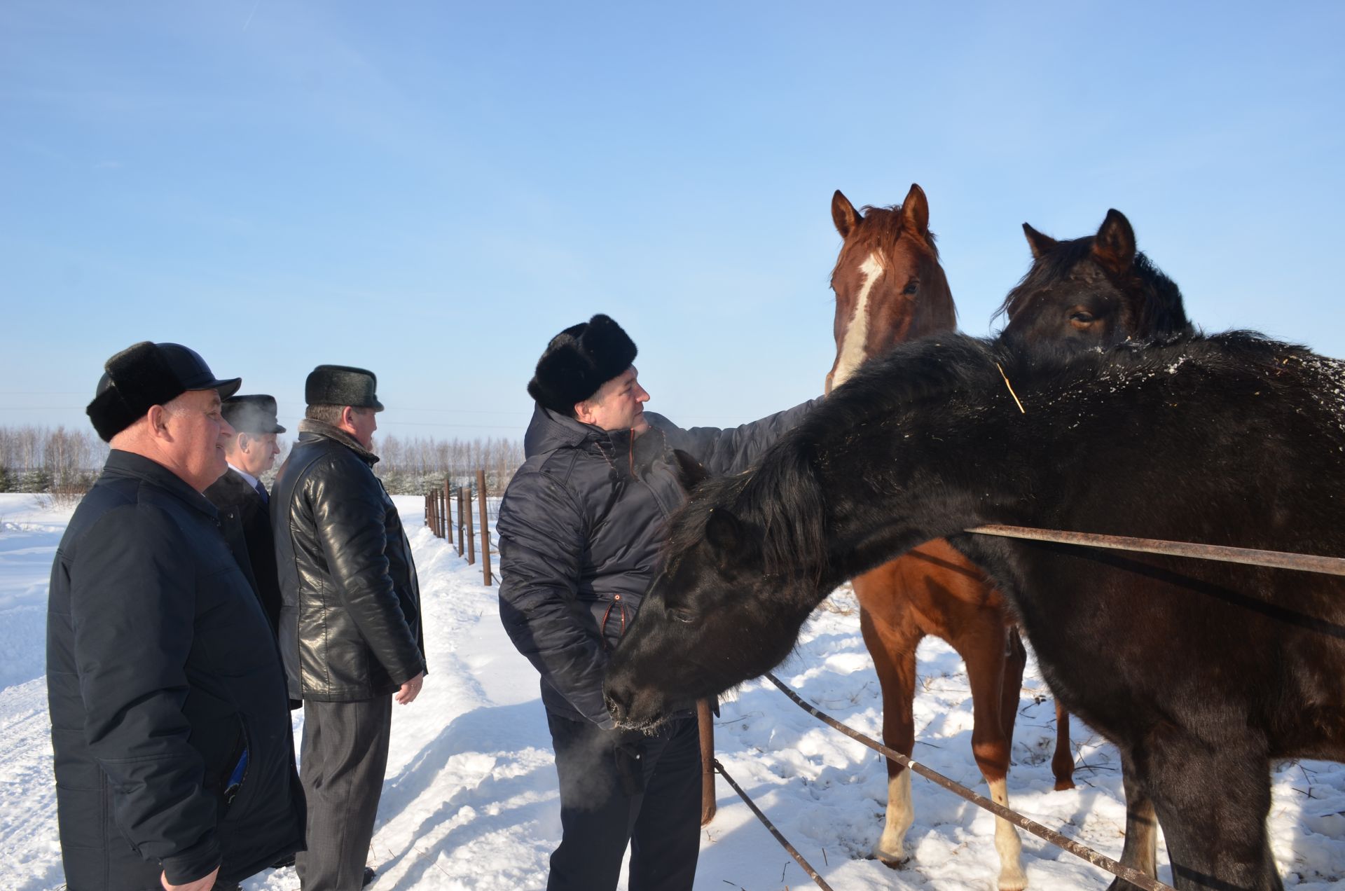 Исәнбайда узган җыенда җитәкчеләр атлар асраучы Ямалиевлар хуҗалыгында булдылар