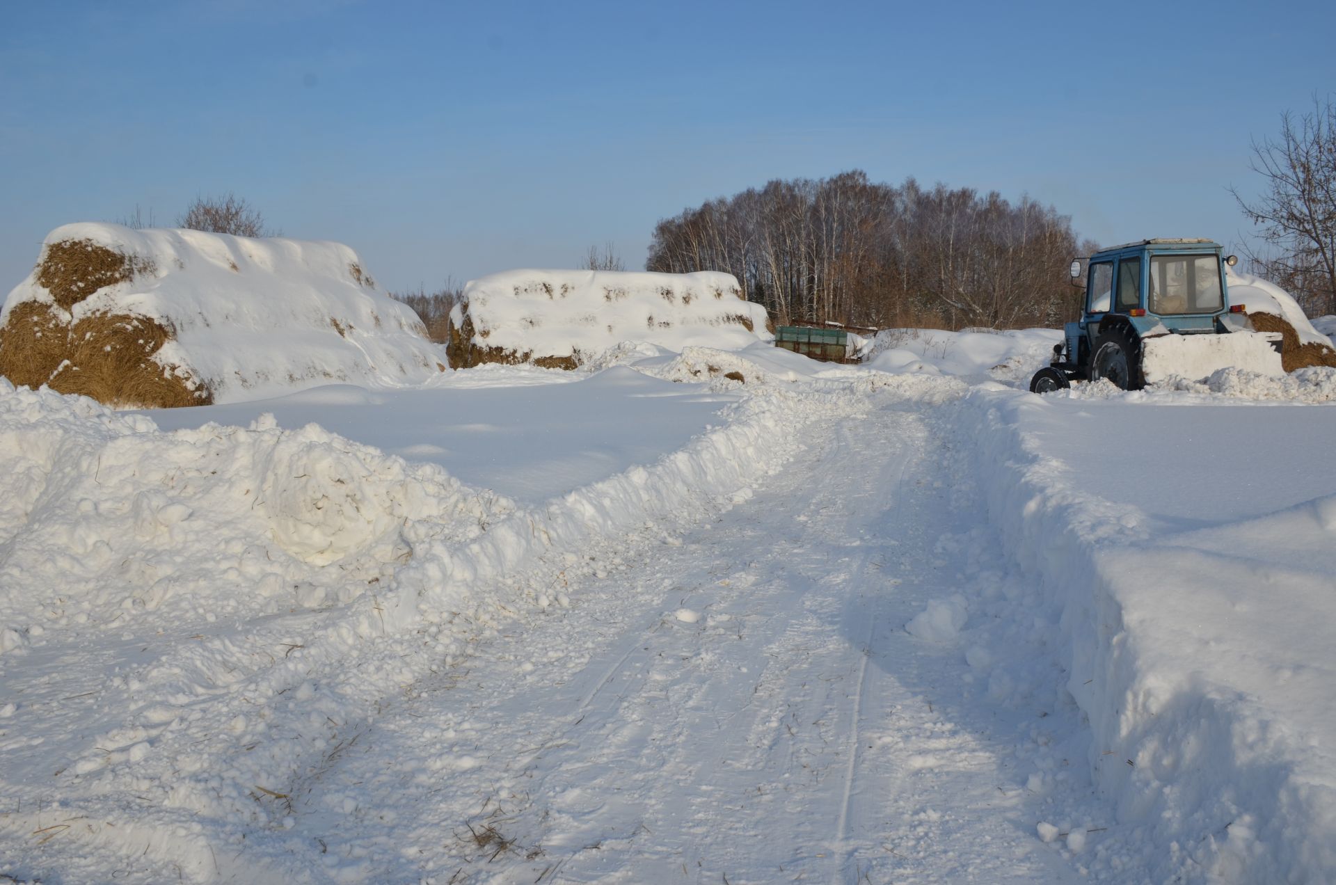 Девәтернә җирлегенең Гали авылында унбиш сыер асраучы гаилә яши