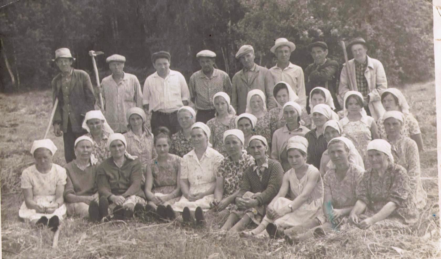 Организация колхозов сыграла огромную роль в развитии ТАССР