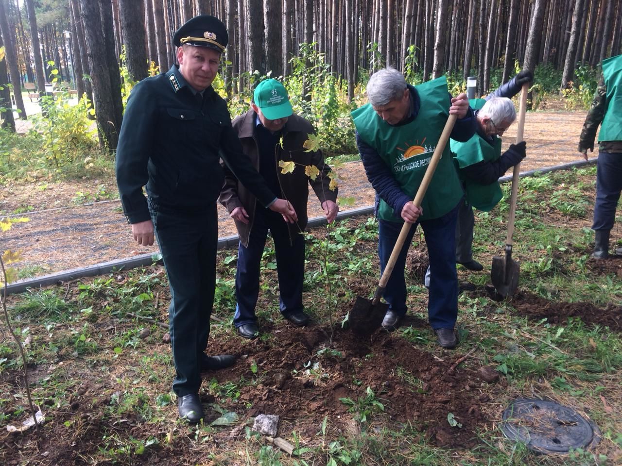 Ветераны лесного хозяйства приняли участие в посадке деревьев