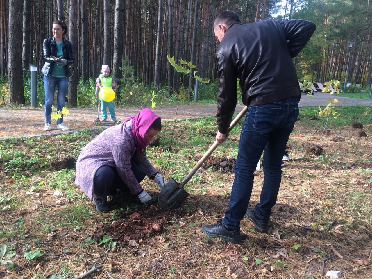 Ветераны лесного хозяйства приняли участие в посадке деревьев