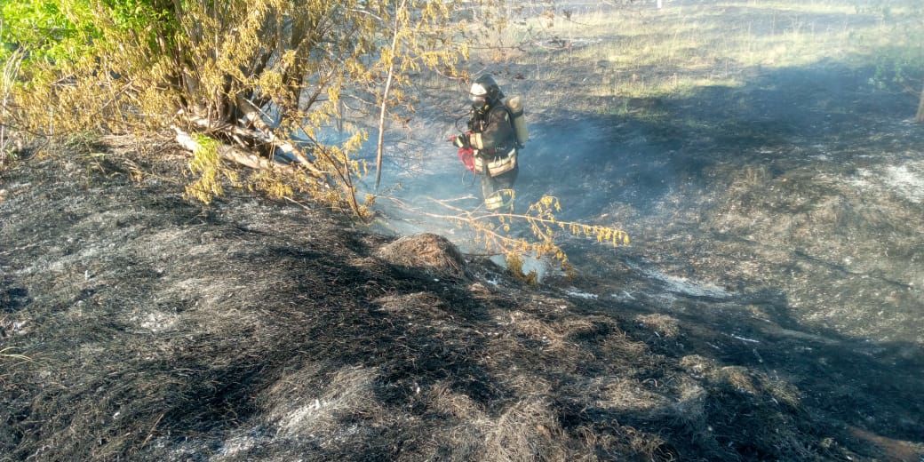 Пожарные Агрыза боролись с огнем в течение часа