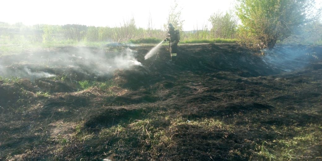 Пожарные Агрыза боролись с огнем в течение часа