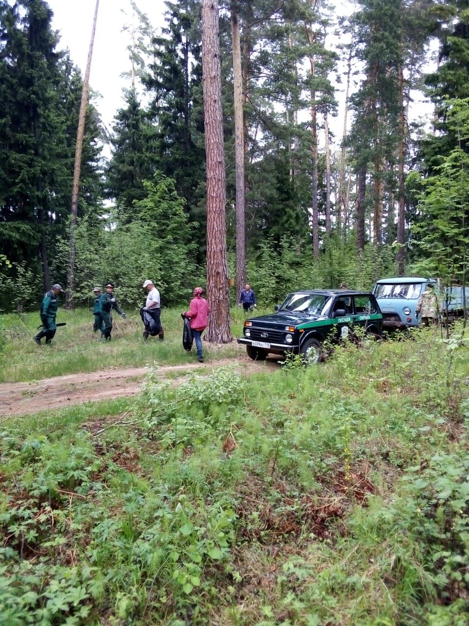 Агрызцы присоединились к акции «Чистые леса Татарстана»