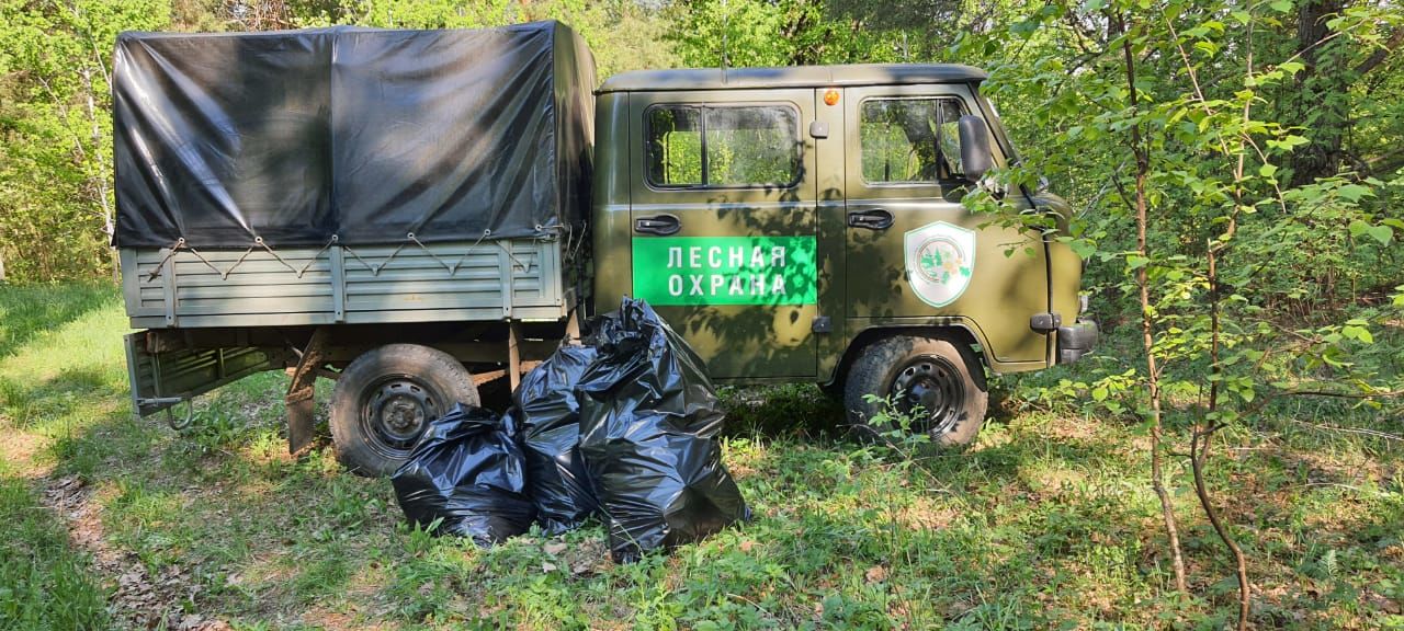 Агрызцы присоединились к акции «Чистые леса Татарстана»