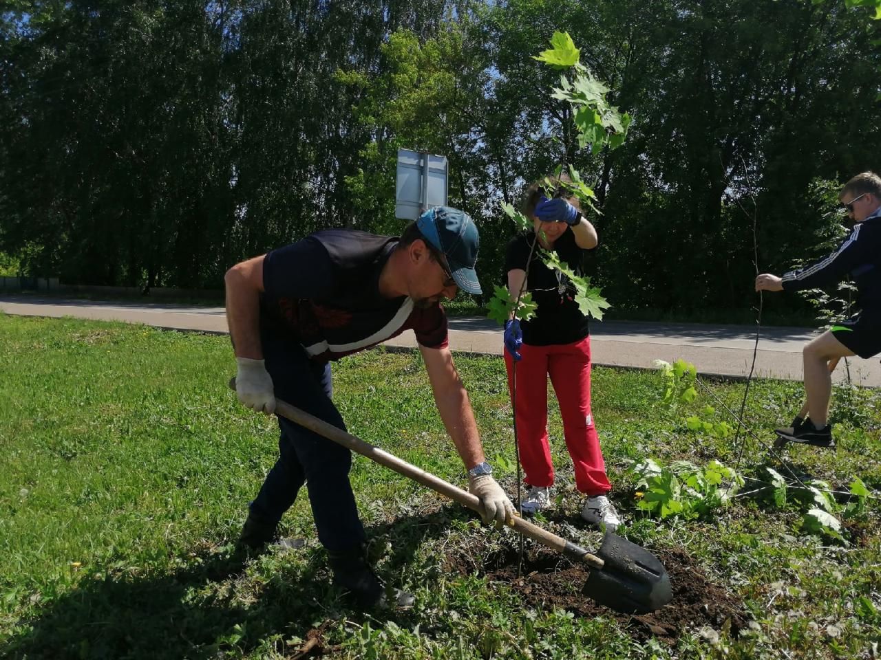Молодежь Агрыза совместно с сотрудниками лесничества посадили деревья