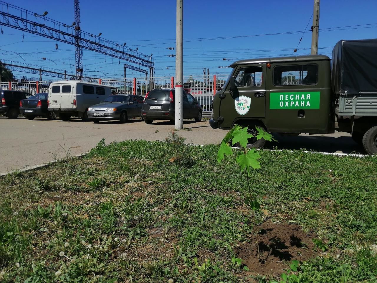 Молодежь Агрыза совместно с сотрудниками лесничества посадили деревья