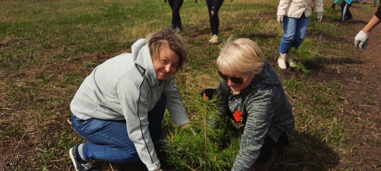 В Агрызе в рамках международной акции «Сад памяти» посадили 300 саженцев