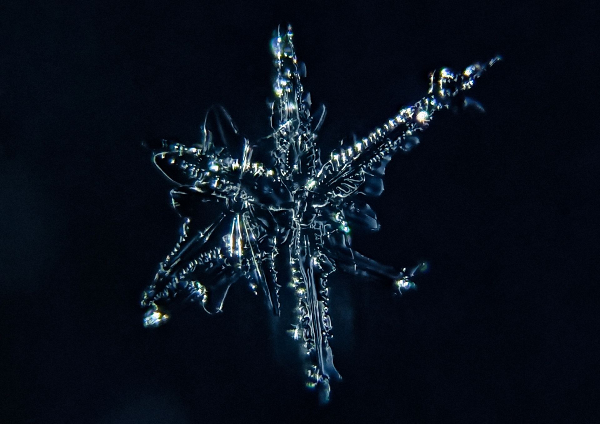 Ильсур Абдуллин из Азева показал невероятные снежинки под микроскопом (ФОТО)