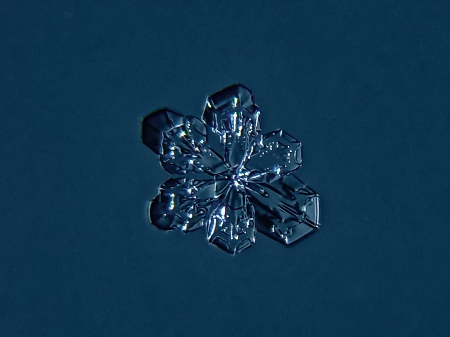 Ильсур Абдуллин из Азева показал невероятные снежинки под микроскопом (ФОТО)