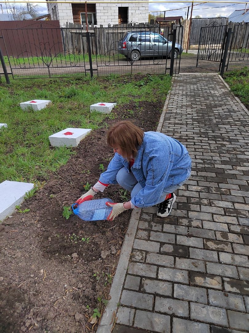 Активисты посадили цветы на Братской могиле