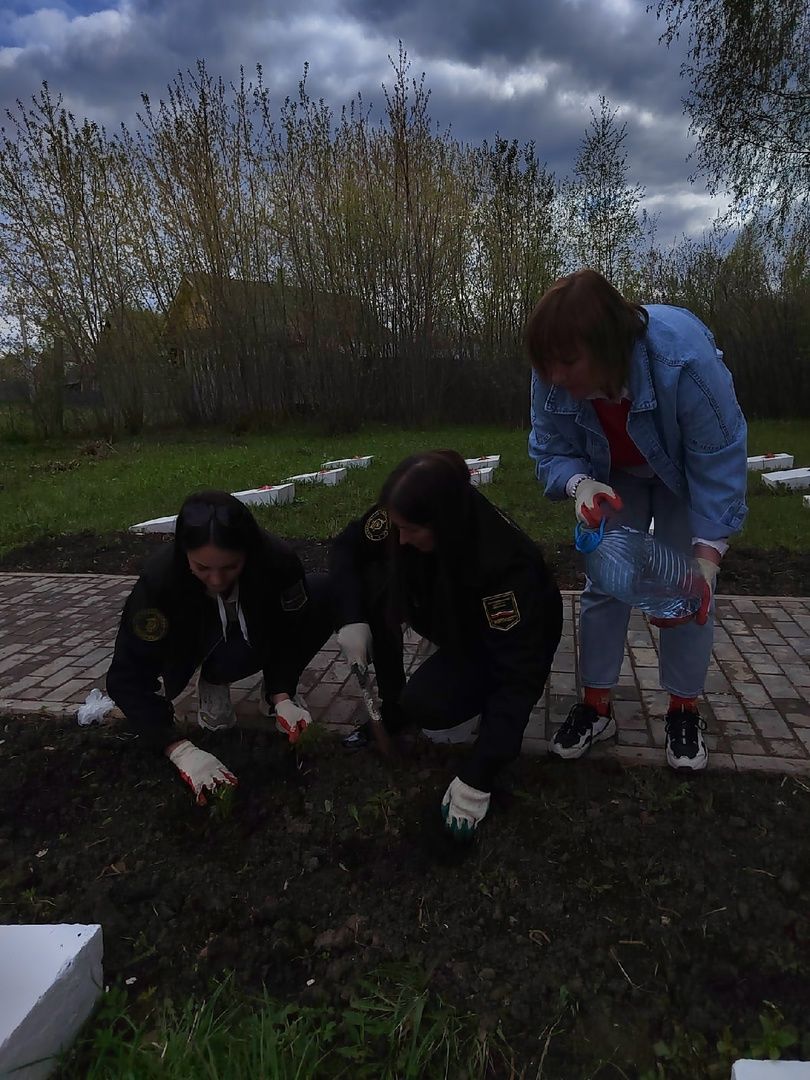 Активисты посадили цветы на Братской могиле