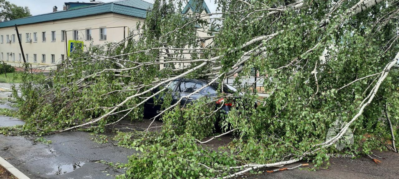 Оперативная группа пожарно-спасательного гарнизона устраняет последствия урагана в Агрызе