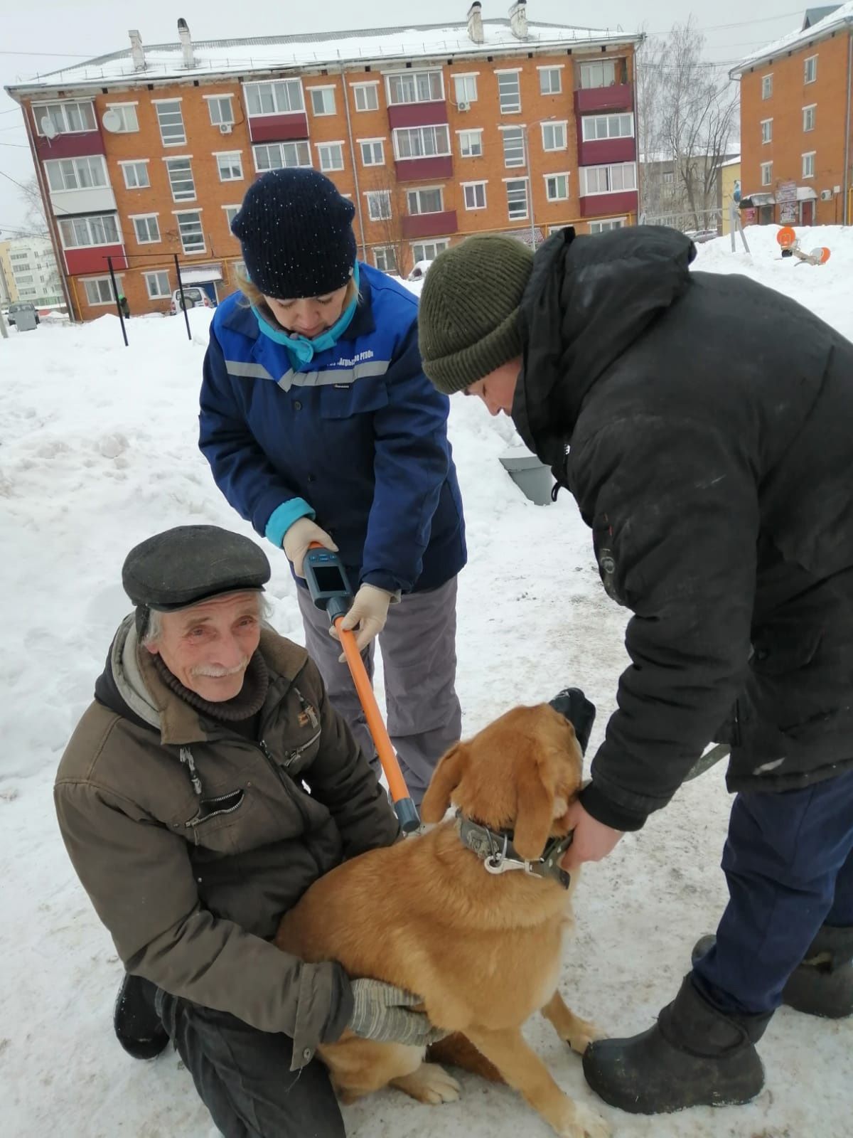 В Агрызе проведена выездная вакцинация и чипирование домашних животных