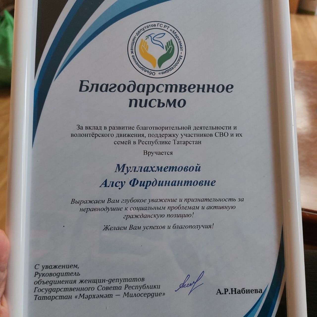 Волонтеры из Агрызского района представили уникальные антидроновые разработки на заседании в Госсовете РТ