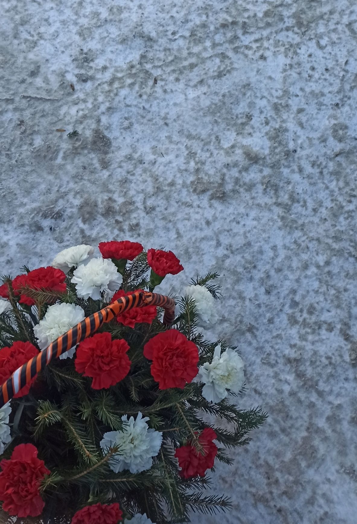 В Агрызе у Вечного огня почтили память защитников Отечества