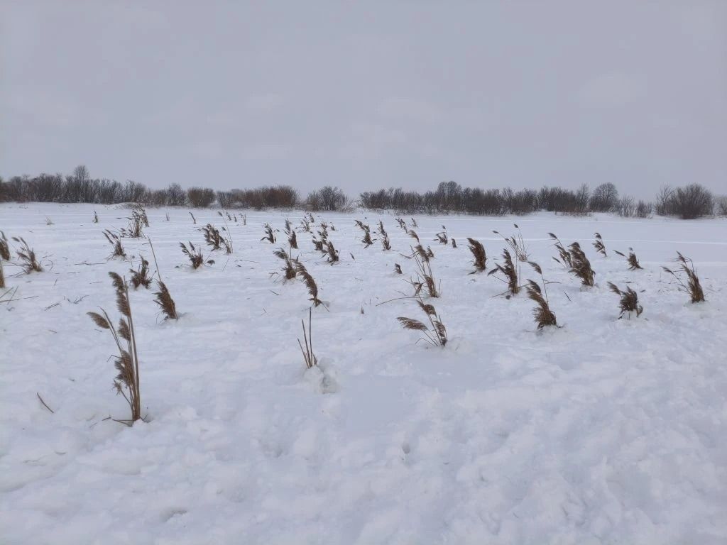 Защитники природы Агрызского района присоединились к акции «Рыбе – быть!»