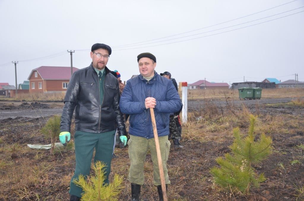 Памятная посадка в Агрызе: 100 деревьев в честь 100-летия ТАССР