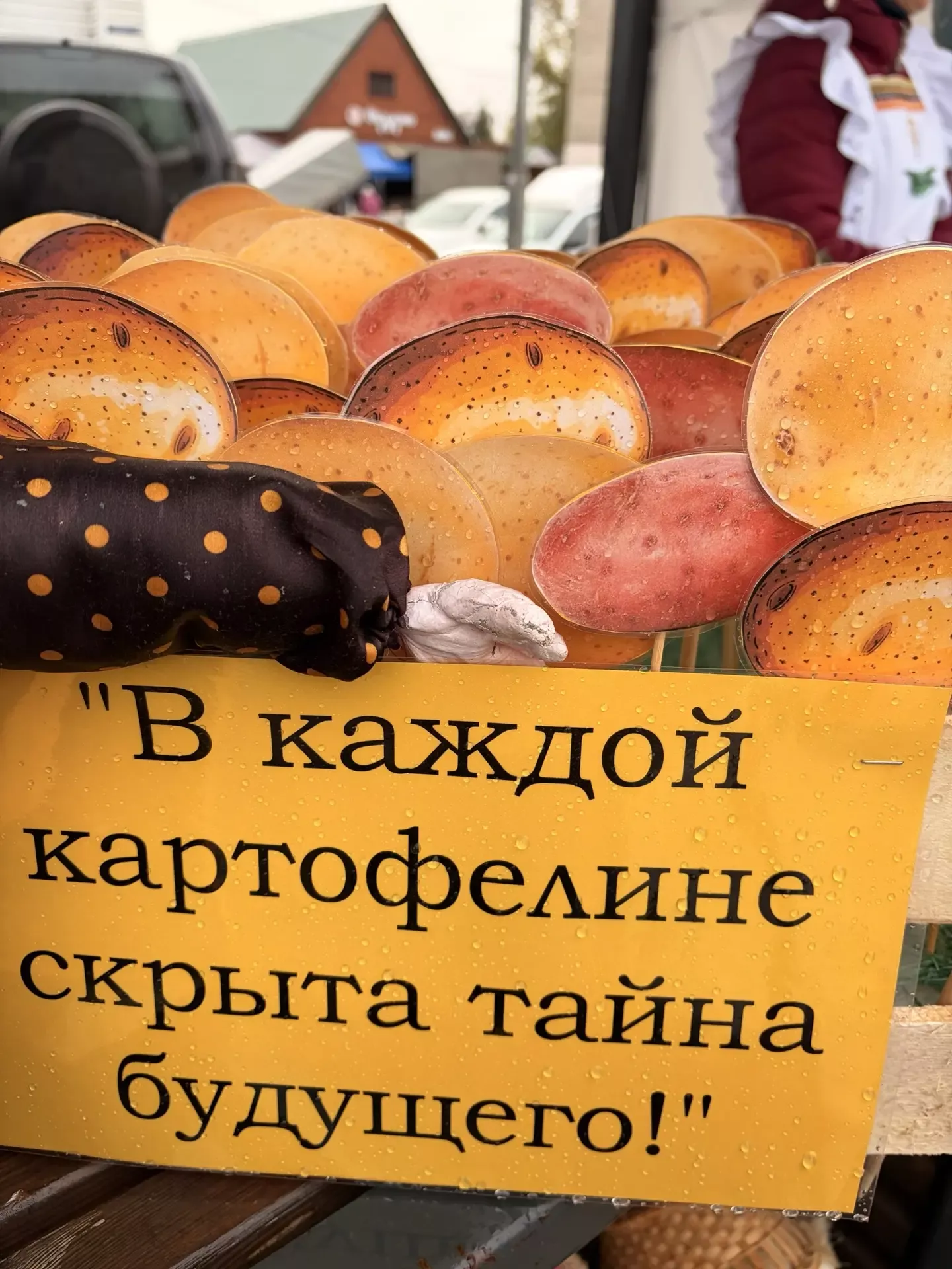 Көзге ярминкәләр гөрли!