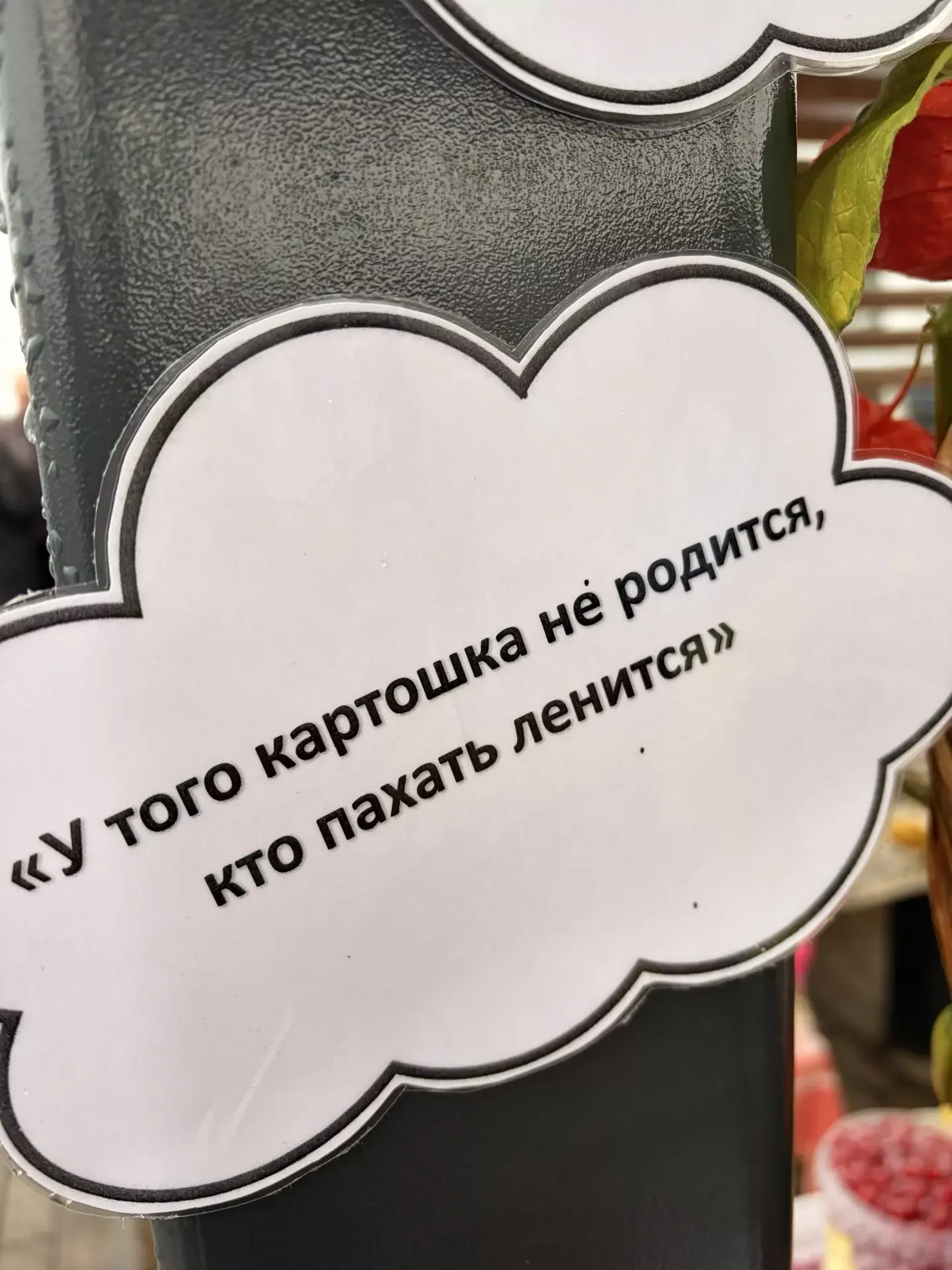 Көзге ярминкәләр гөрли!