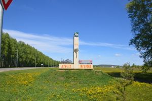 В Агрызском районе построят промышленный парк