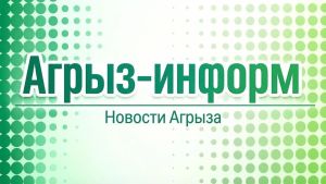 Как правильно выбрать зимнюю резину