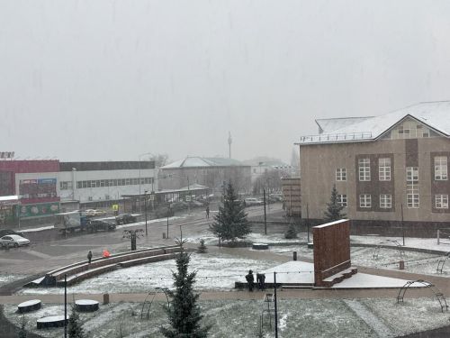 В Агрызе выпал первый снег