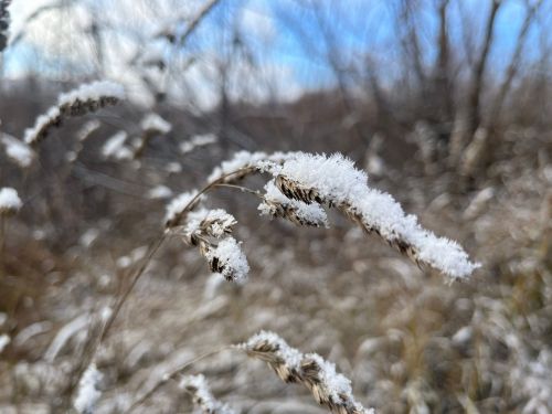 Прогноз погоды на 24 октября