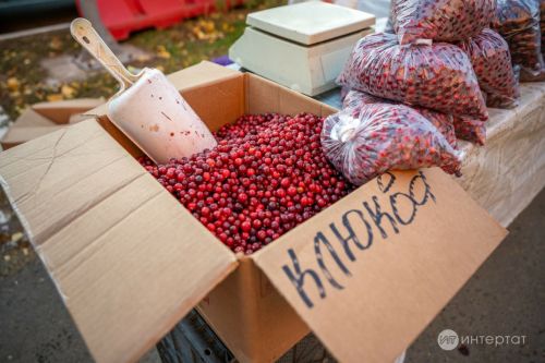 Кышкы чорда иң файдалы өч җиләк