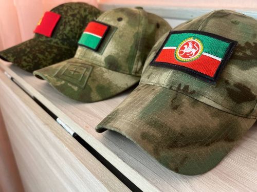 Более десяти мер социальной поддержки мобилизованных действуют в Татарстане