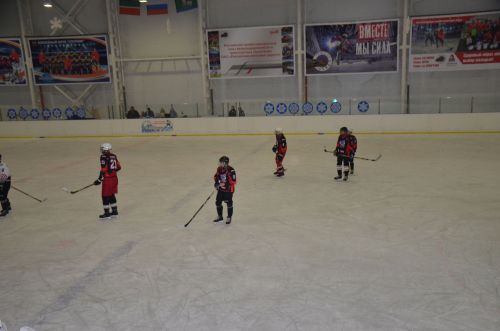 В Агрызе пройдет Турнир по хоккею с шайбой