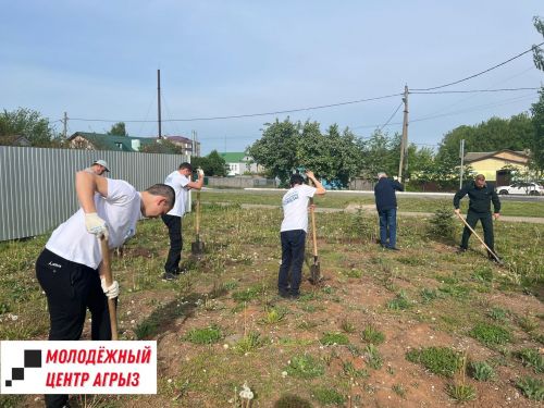 На территории молодежного центра высадили саженцы деревьев