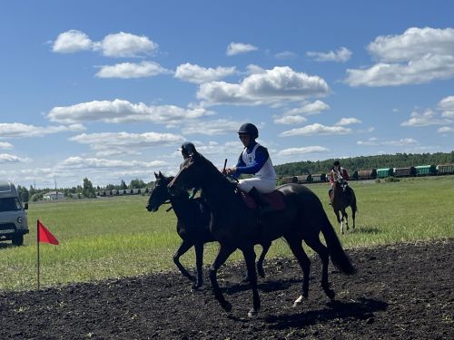 Сабантуй в Агрызе стартовал с конных скачек