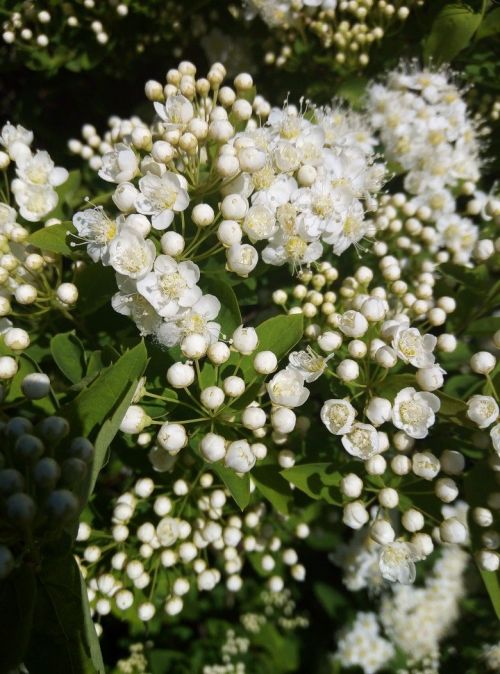 Июль аенда магнитлы көннәр