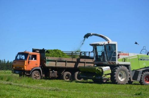 В хозяйствах Агрызского района заготовлено 4943 тонны сена