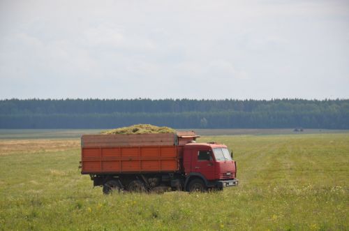 Район кырларында арыш, арпа сугалар