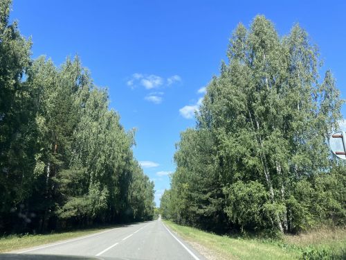 Прогноз погоды на 14 августа