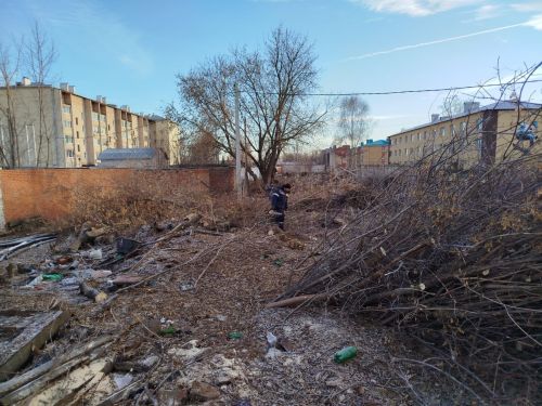 В Агрызе продолжается масштабная работа по расчистке бурьянов и зарослей клена