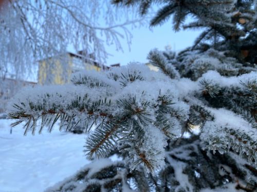 В четверг в Агрызе ожидается до -6 градусов
