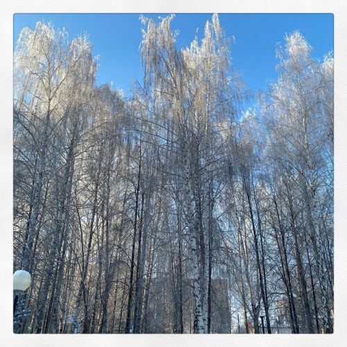Прогноз погоды в Агрызе на вторник