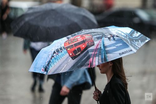 В Агрызе сохраняется дождливая погода