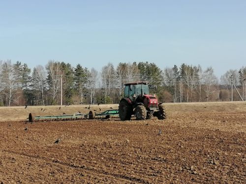 В Агрызском районе посевные работы осуществлены на площади 7827 гектаров