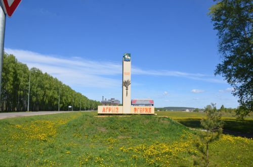 В Агрызском районе построят промышленный парк