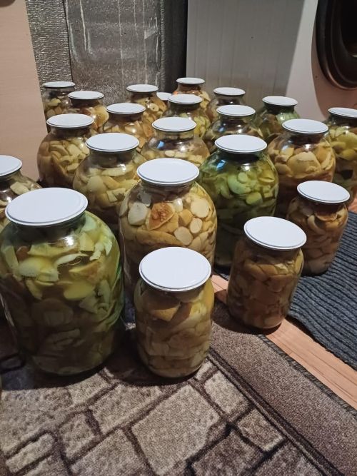 Рецепт маринованных грибов от Эльвиры Ясавеевой