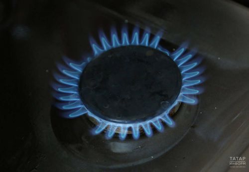 Мать и сын погибли в жилом доме в селе Бима Агрызского района