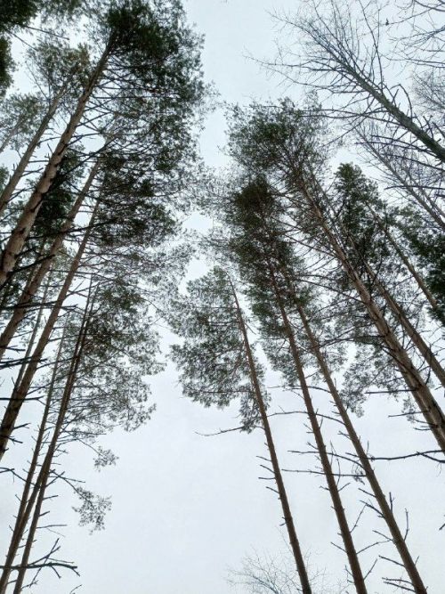 Прогноз погоды на 18 декабря