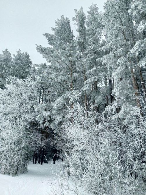 Прогноз погоды на 19 декабря